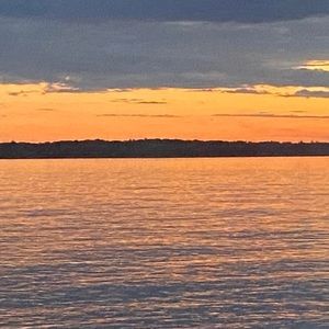 Meet your Posher, Martin